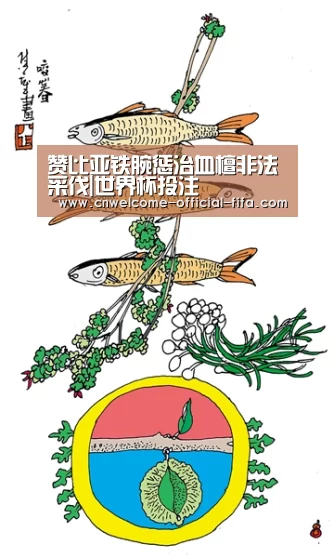 赞比亚铁腕惩治血檀非法采伐|世界杯投注