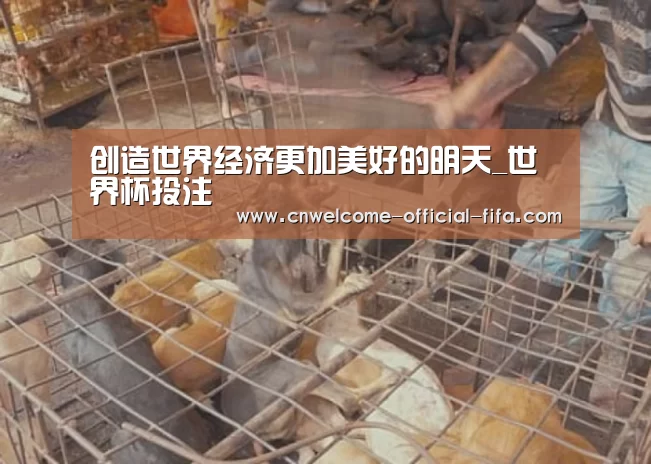 创造世界经济更加美好的明天_世界杯投注(图1) 世界杯投注